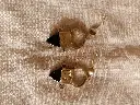 Bijoux_en_bronze_avec_pierre.webp