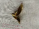Boucles_d_oreilles_en_bronze.webp